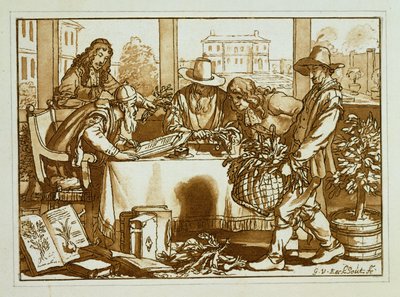 علماء النبات يفحصون النباتات بواسطة جيربراند فان دن إيكهوت